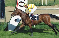 SINGAPORE MING el pasado domingo en Lasarte. Foto: EquipoZoom.