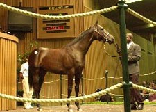 imagen de una de las subastas en Keeneland