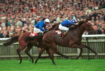 NAYEF en el Meeting Champion 2001. Foto: Bancroft Photograsphy