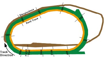 Trazado del Hipódromo de Ellerslie