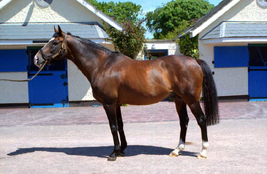 Sadler’s Wells. Foto: EquipoZoom