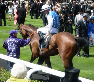 Goldikova Foto: Shergar