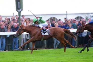 Lamtarra campeón de 1995. Foto: EquipoZoom