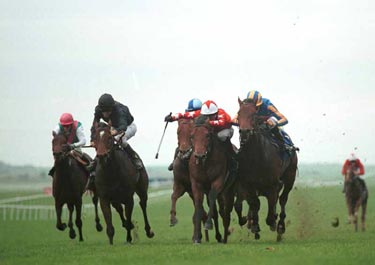 ROCK OF GIBRALTAR en un momento de la carrera. Foto:Bancroft Photograsphy