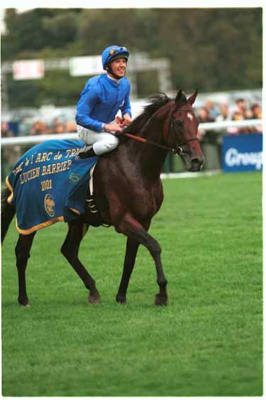 Dettori con SAKHEE, una combinación perfecta. Foto: Bancroft Photograsphy