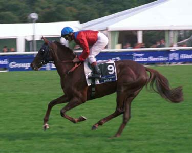  El gran Dettori con SULK. Foto: Bancroft Photograsphy