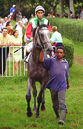 PERSIAN RULER, la gran incógnita. Foto: EquipoZoom.