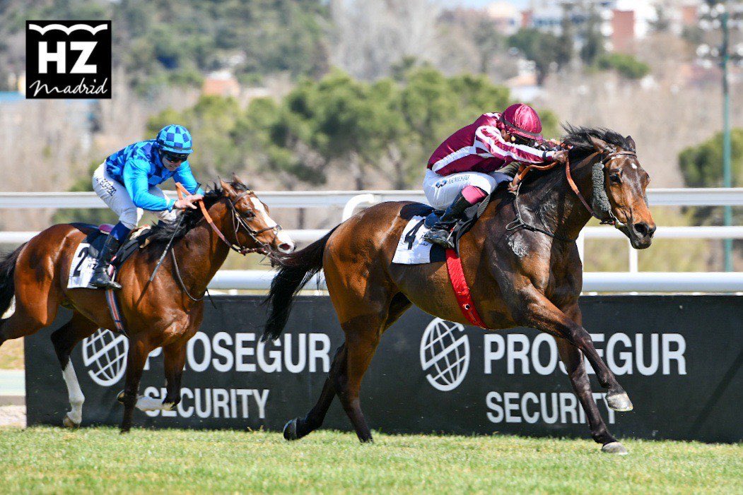 FINELY TUNED (J.Gelabert), sorprendente ganador del premio Bannaby Foto: HZ FINELY TUNED. Foto: