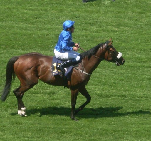 Ribchester (W.Buick) gana el Queen Anne Stakes. Foto: Pedro Mercado Ribchester. Foto:
