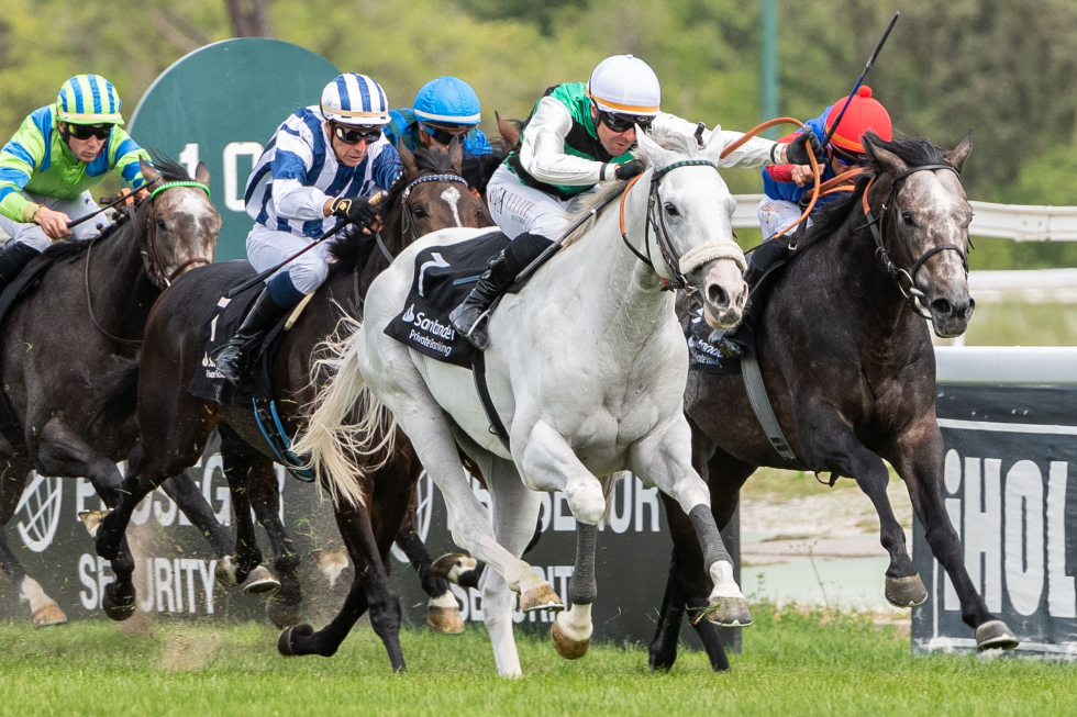 White King (V.Janacek) repite su triunfo del derby en el Villamejor. Foto: HZ WHITE. Foto: