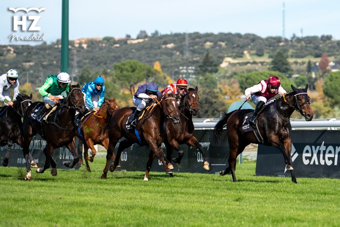 LOVE FOR LIFE (Ruis) rechaza los ataques de sus rivales en el premio Antonio Blasco. Foto: HZ LOVE. Foto: