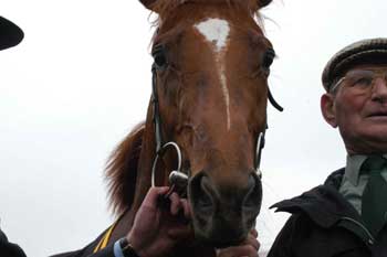 El campeón de las 2000 Guineas y su septuagenario cuidador. Foto: Jesús de Miguel