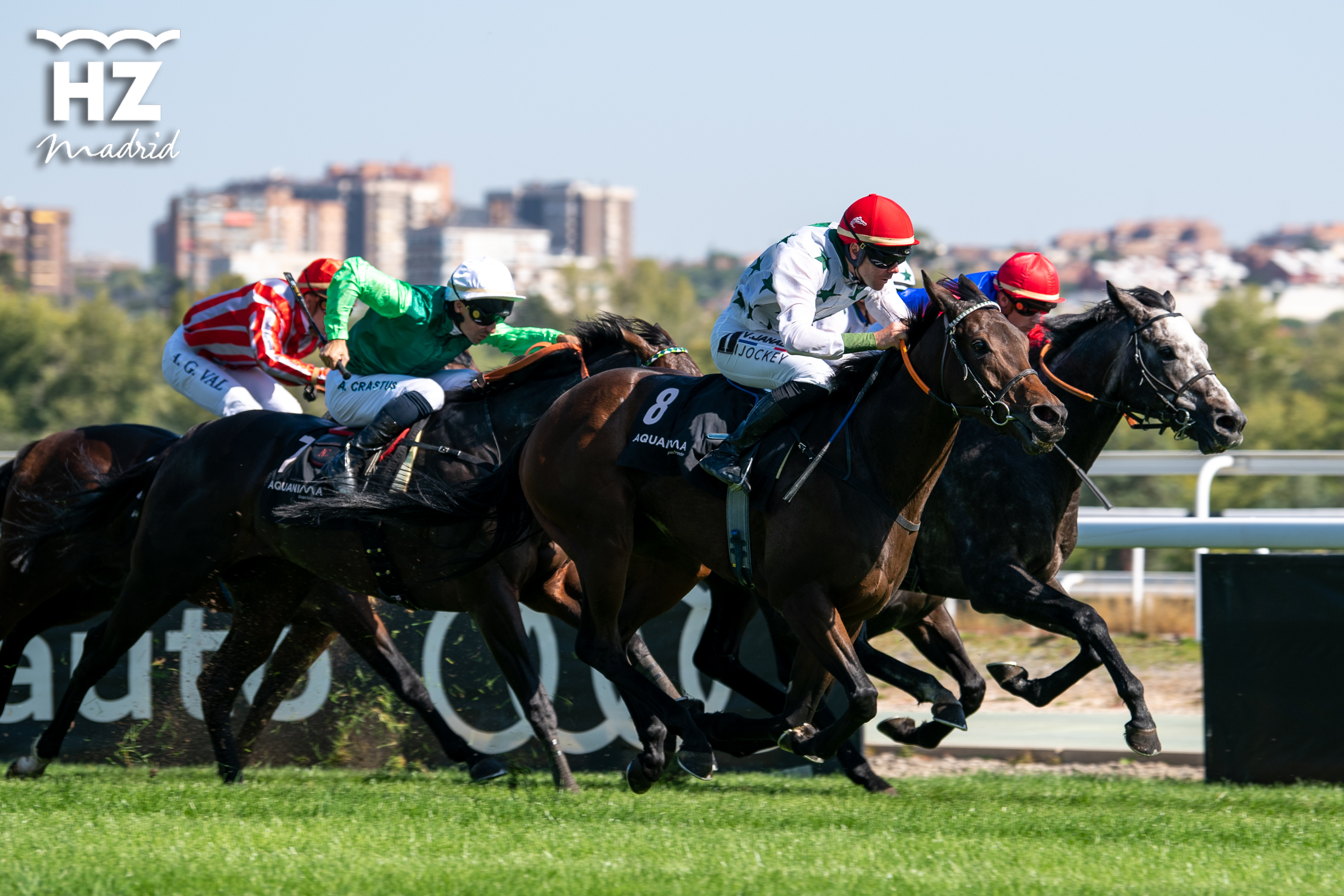 Samedi Rien (V.Janacek) ganó su segundo Hispanidad. Foto: HZ SAMEDI. Foto: