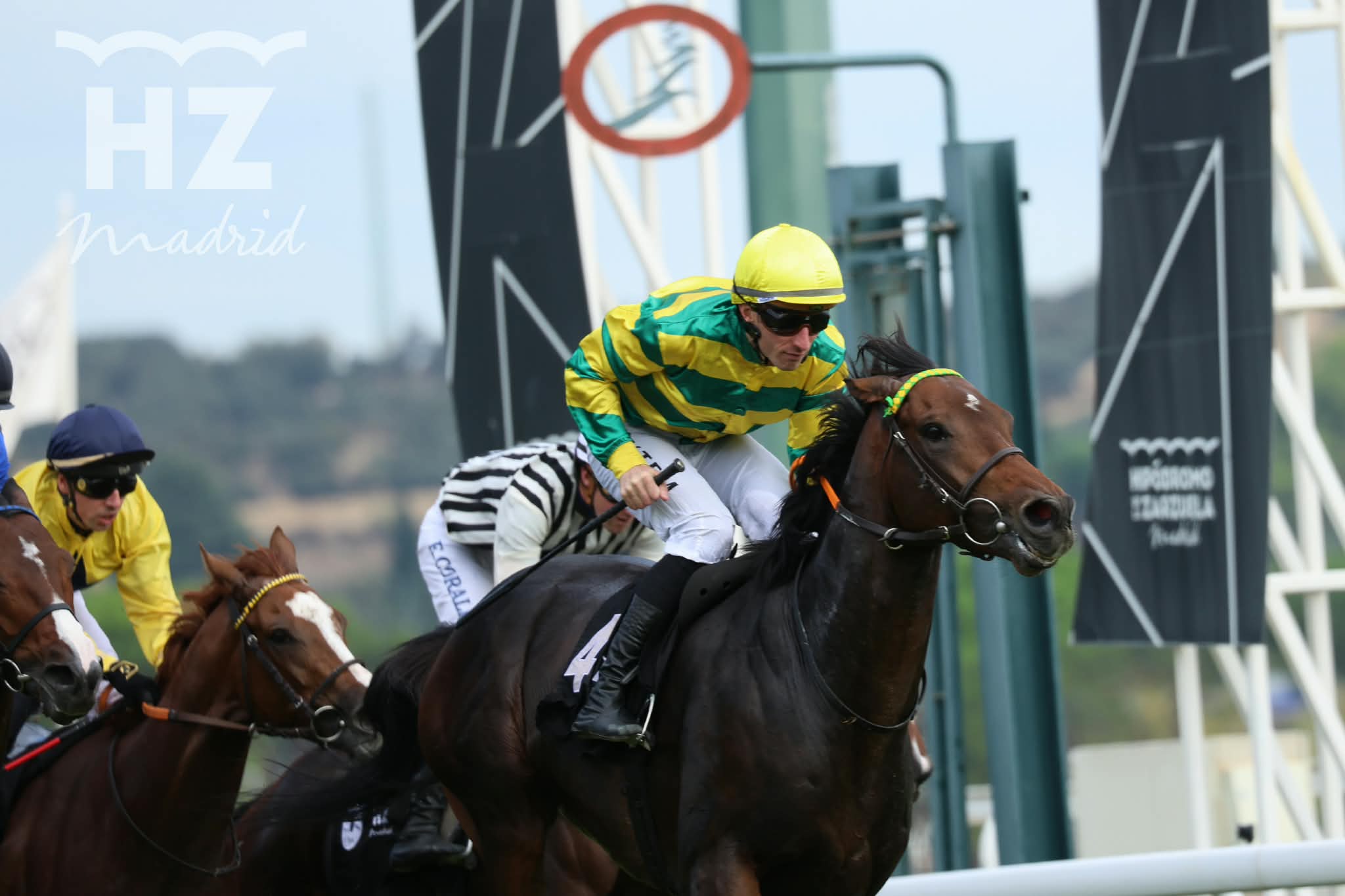 SKYTREE (Boudot) no dio opción a sus rivales del GP de la Hispanidad Foto: HZ SKYTREE. Foto:
