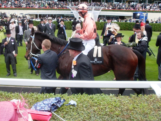 BLACK CAVIAR. Foto: P. Mercado