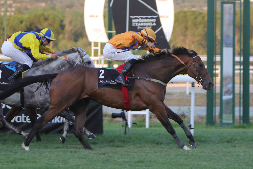GREAT PROSPECTOR (R.Sousa) arrasó en el premio Urquijo. Foto: HZ GREAT. Foto: