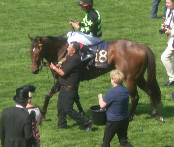 Lady Aurelia (J.Velazquez), 1º en el King’s Stand Stakes. Foto: Pedro Mercado Lady Aurelia. Foto:
