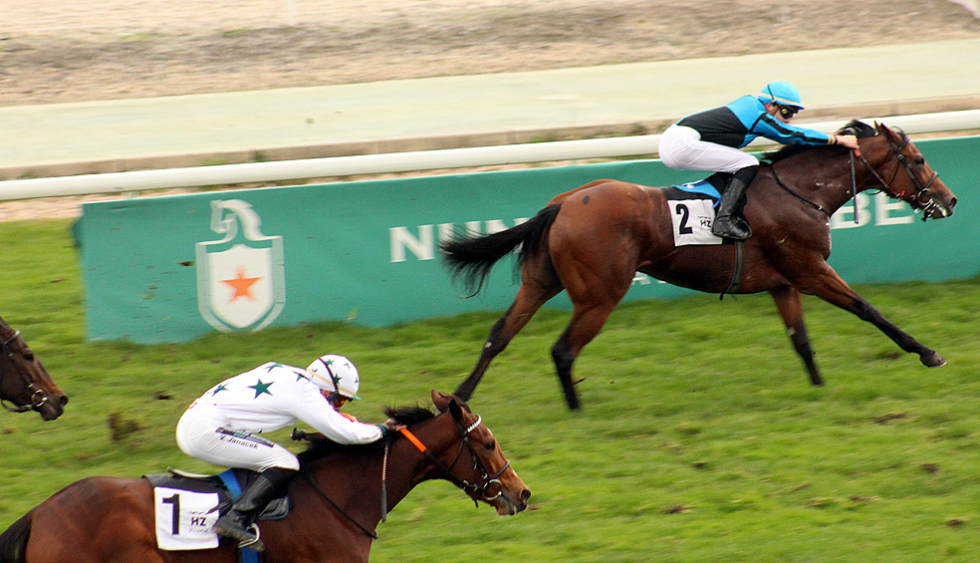 Belmonte. Foto: 