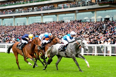 Solow gana el Queen Anne. Foto: Jesús de MIguel Solow. Foto: