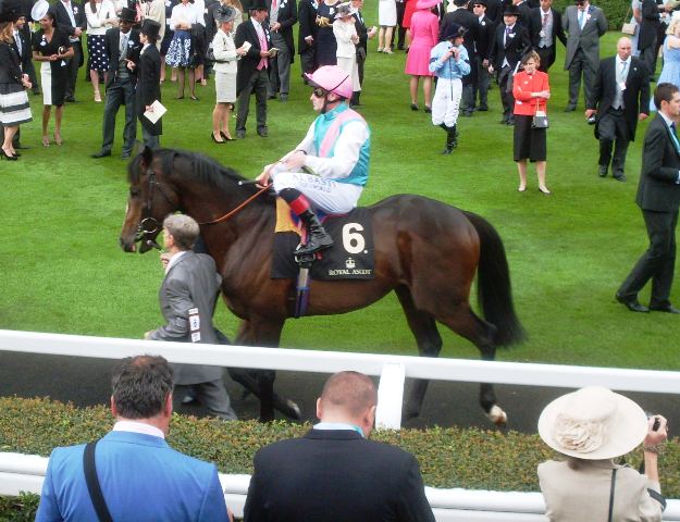 Snow Sky (Hardwicke Stakes). Foto: Pedro Mercado Snow Sky. Foto:
