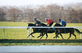 ¡Al galope en el Hill!. Foto: Jesús de Miguel