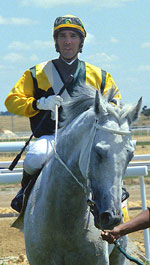 PERSIAN RULER. Foto: EquipoZoom