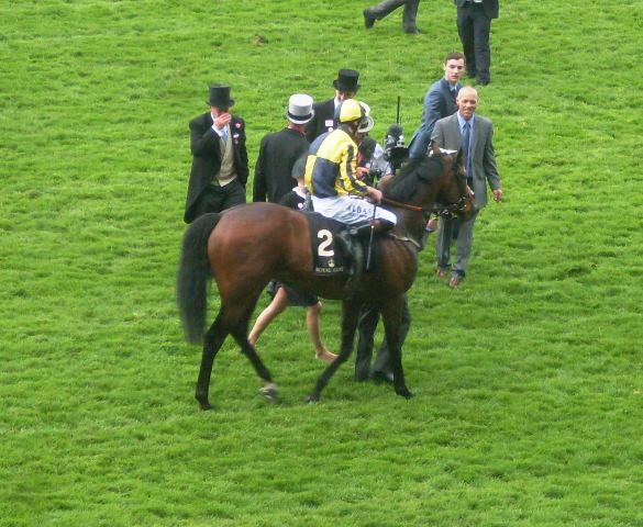 My Dream Boat (A.Kirby) da la sorpresa en el Prince of Wales’s Stakes. Foto: Pedro Mercado My Dream Boat. Foto: