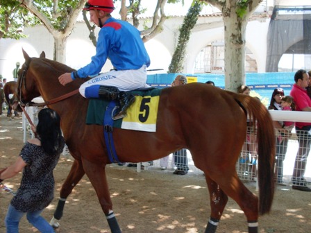 Bannaby . Foto: Shergar