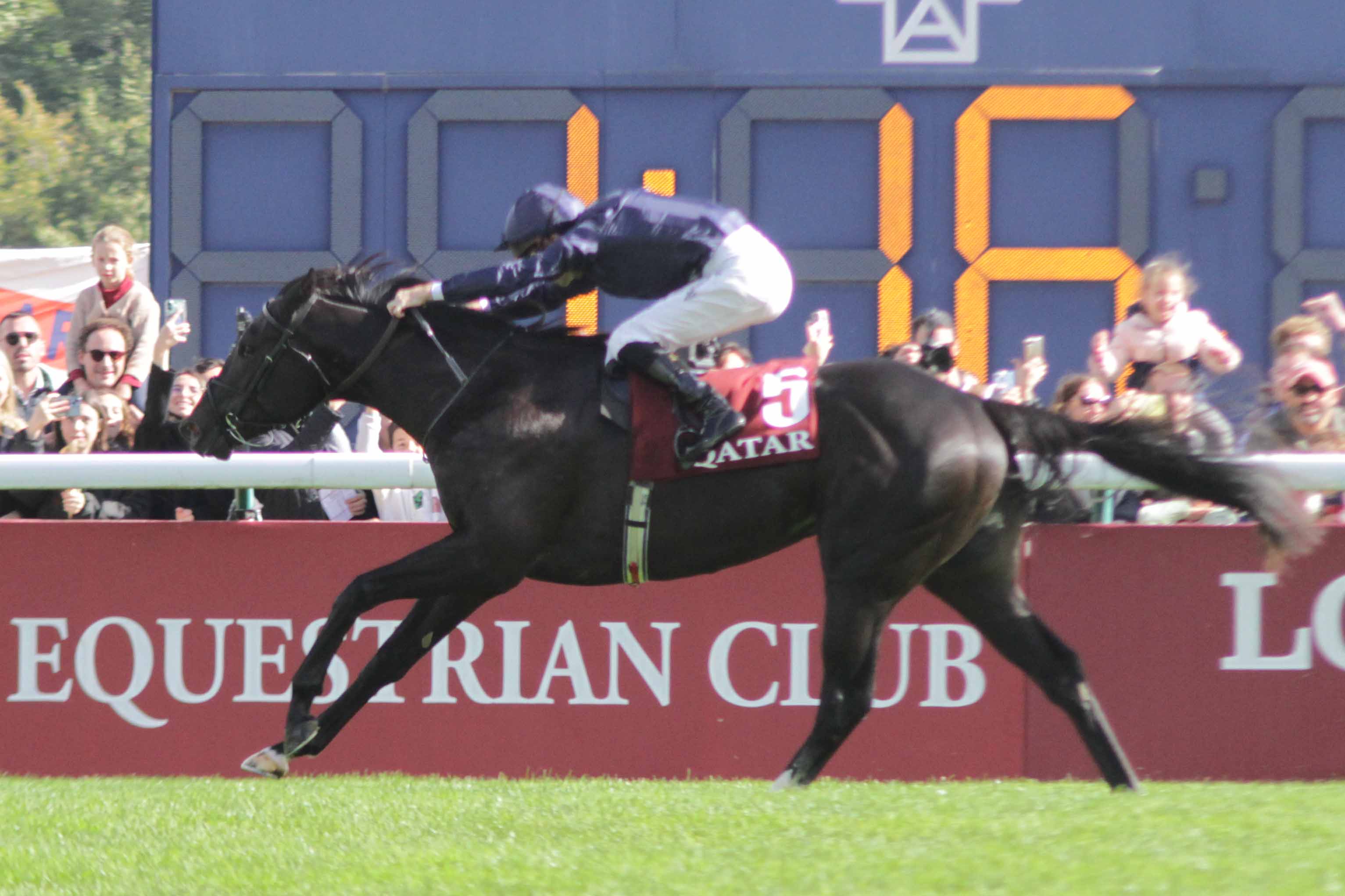 Muy sobrados, Puerto Rico y Soumillon se imponen en el Lagardère. Foto: Jesús de Miguel