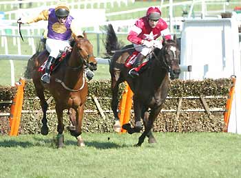 BRAVE INCA (izq.) y WAR OF ATTRITION superan emparejados la última valla. Foto: Jesús de Miguel
