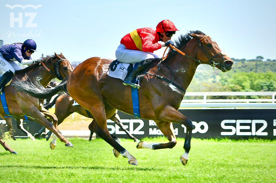 NOISY NIGHT (A. Werle) repitió victoria en el premio San Isidro. Foto: HZ NOISY NIGHT. Foto: