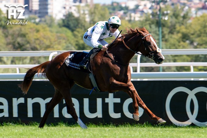 Pamplona (V.Janacek) batió el record de la distancia en el Villamejor. Foto: HZ PAMPLONA. Foto: