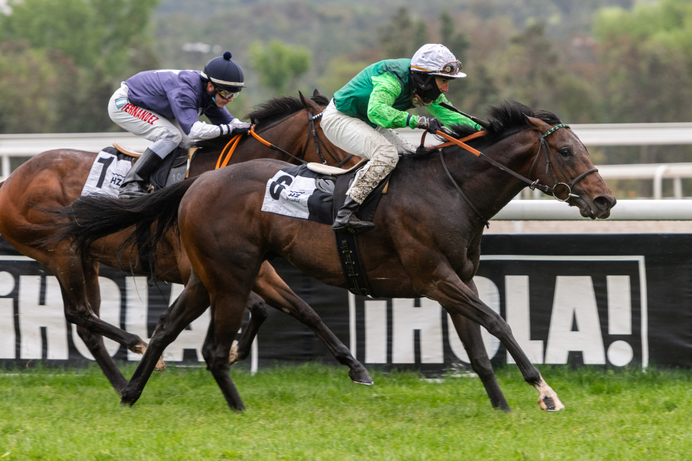 Rodaballo (J.L.Martínez) supera a Great Prospector (M.E.Fernández) en el Covarrubias. Foto: HZ Rodaballo. Foto: