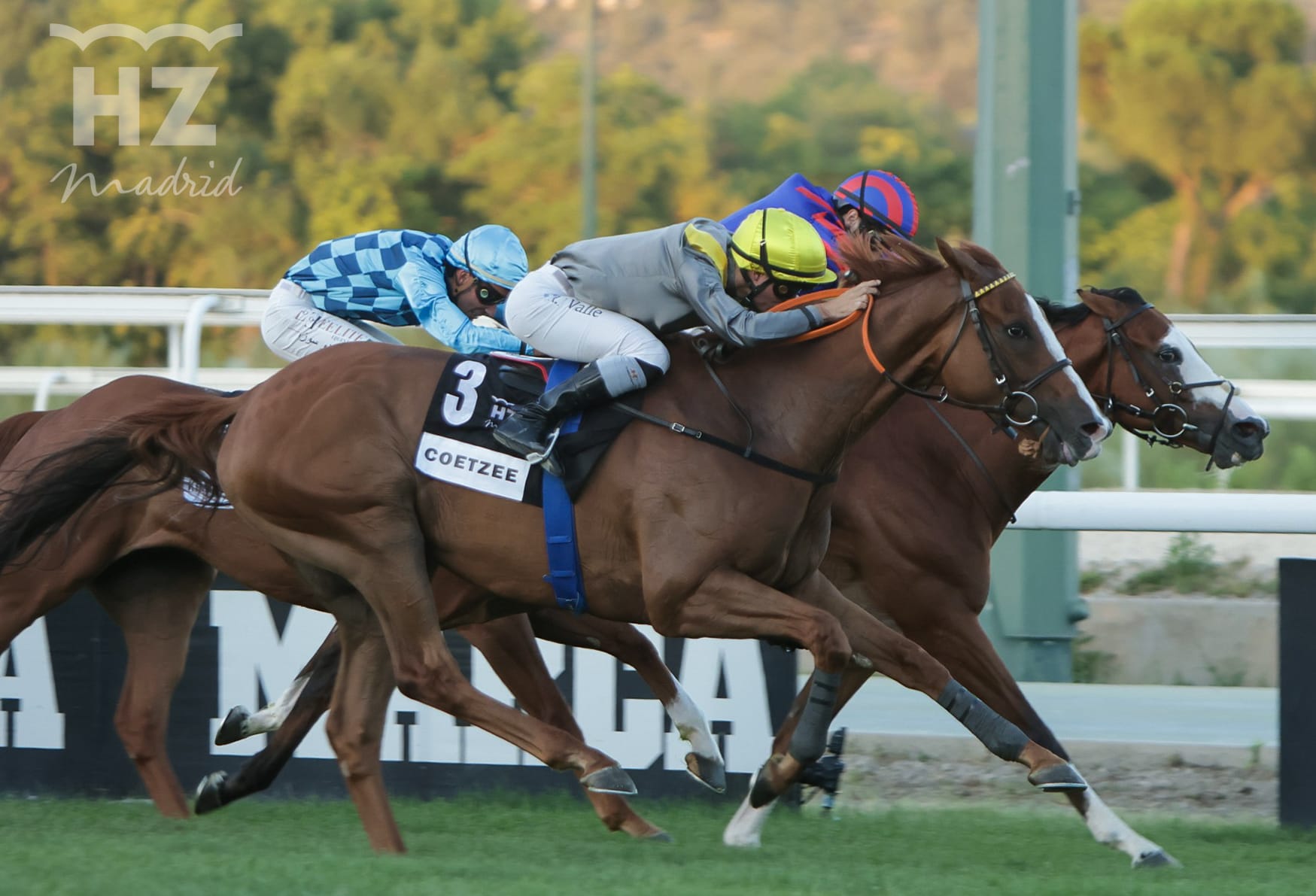 COETZEE (N.Valle) se presenta en España con victoria en el Gran Premio de Madrid. Foto: HZ COETZEE. Foto: