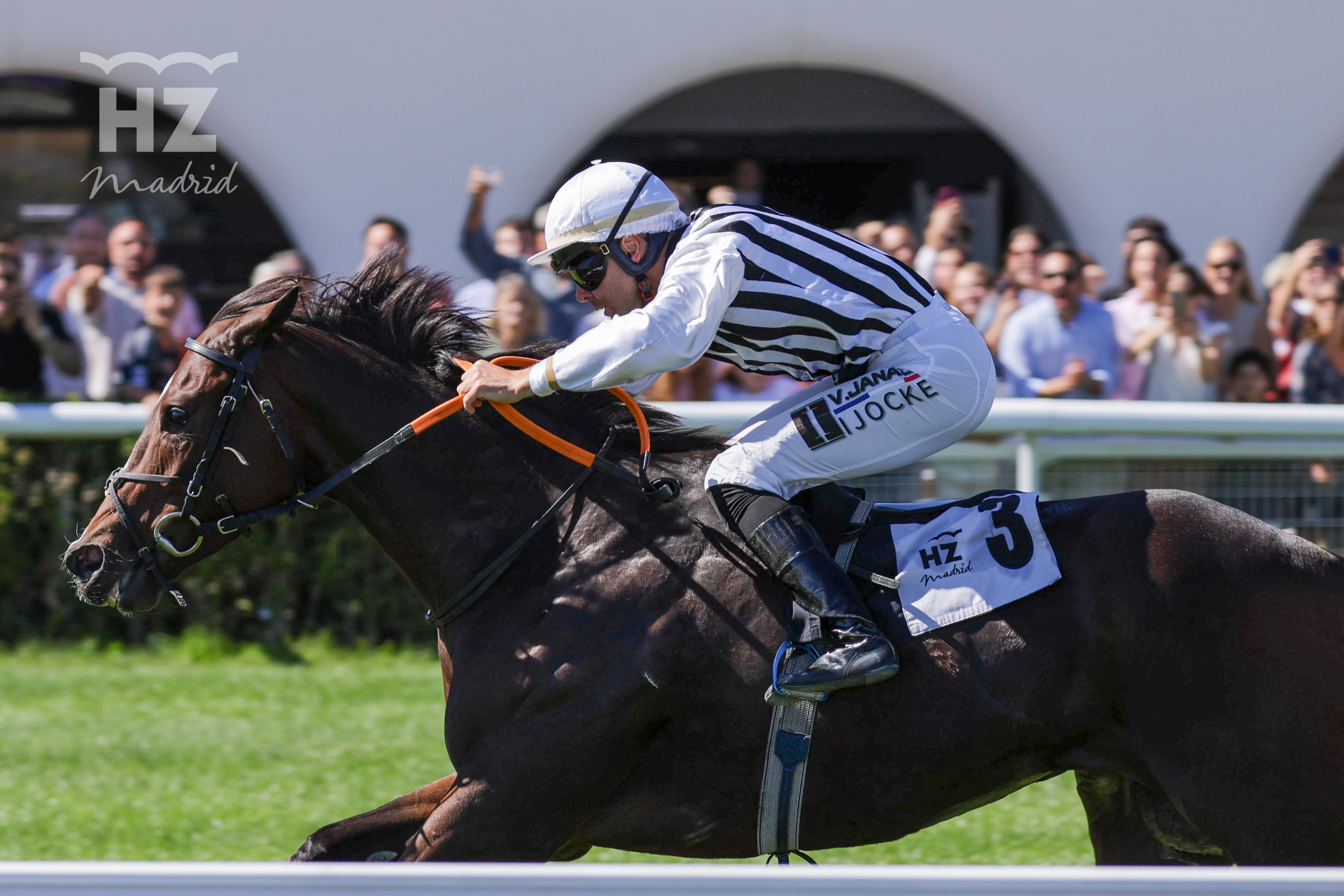 VAMOS NIÑO (V.Janacek) cumplió con el pronóstico en el Fernando Melchor. Foto: HZ VAMOS NIÑO. Foto: