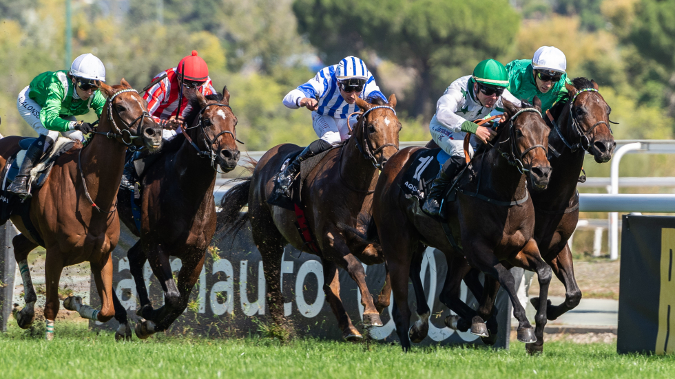 Samedi Rien (V.Janacek) se impuso con claridad en el Gran Premio de la Hispanidad. Foto: HZ SAMEDI RIEN. Foto: