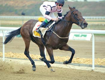 NOELS GANADOR ganando fácil su carrera. Foto: EquipoZoom