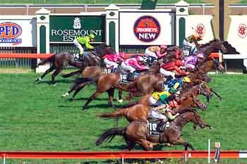 Llegada en el Newmarket Handicap