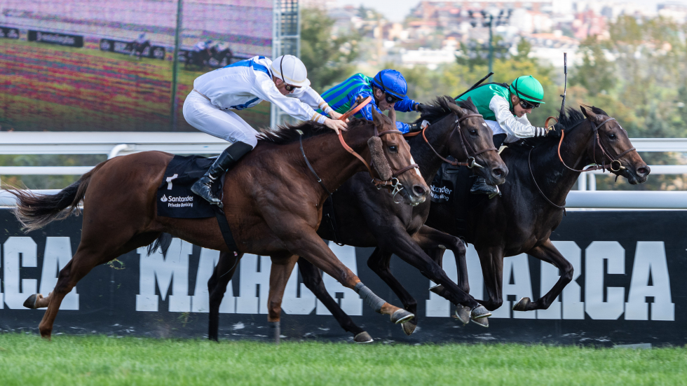 Pantxineta (G.Guedj Gay) ganó el Nacional en una llegada muy cerrada. Foto: HZ PANTXINETA. Foto:
