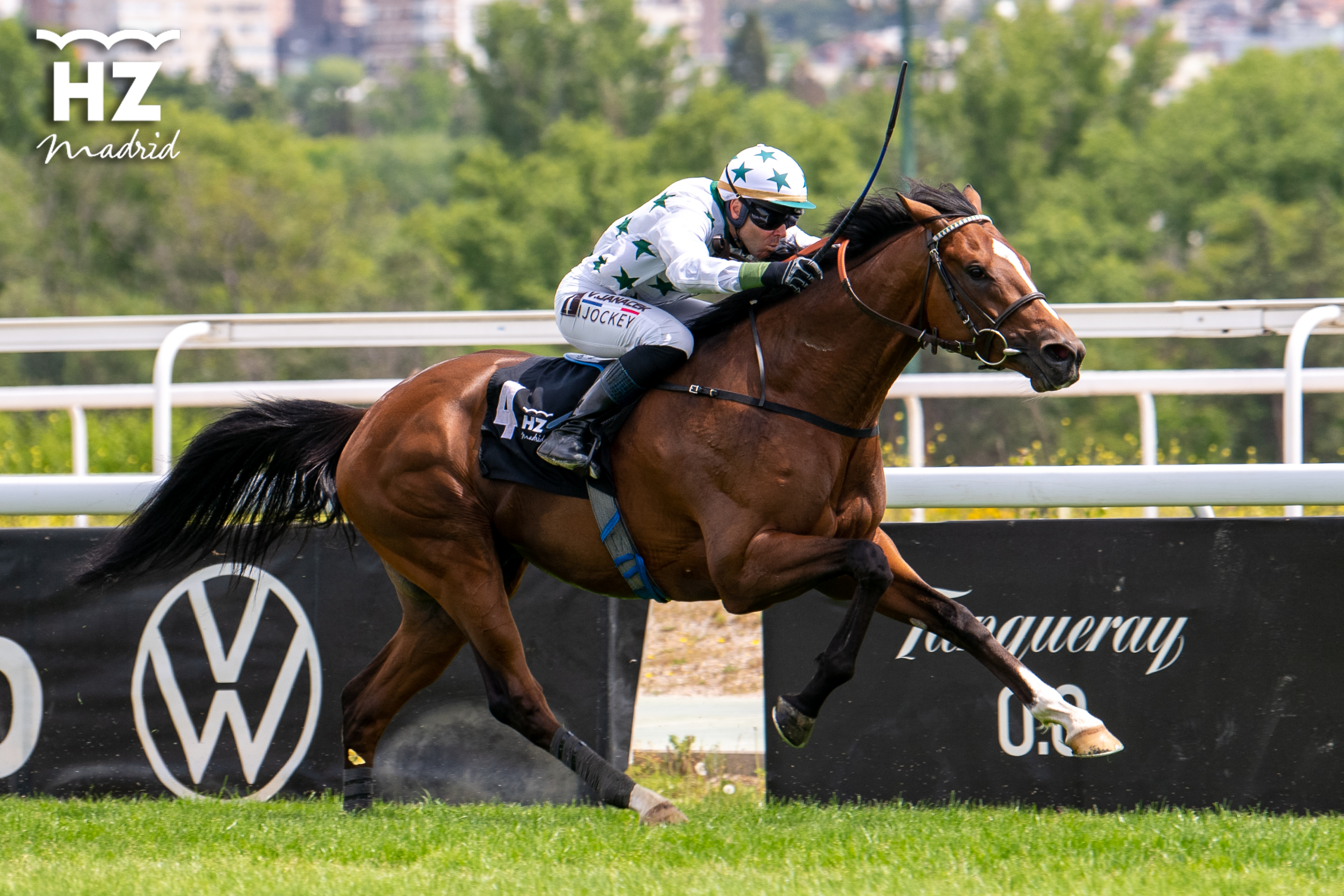 TETUAN (V.Janacek), cuarto ganador del Nacional para la Yeguada Rocío. Foto: HZ TETUAN. Foto: