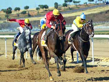 DESERT ARDENT dominó sobre la milla. Foto: EquipoZoom