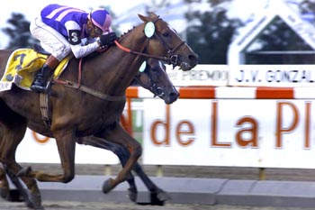 El caballo DON CARTERO ganó la milla clásica del Gran Premio Joaquín V. González