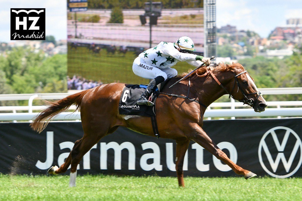 PAMPLONA. Foto: 