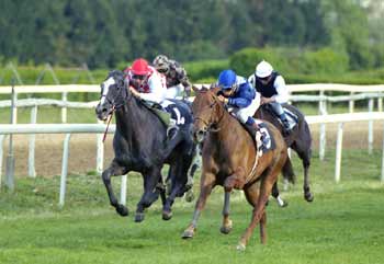 DARK se impuso claramente a AL PANTER. Foto: EquipoZoom