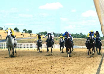 PERSIAN RULER lucha final del Gran Premio. Foto: EquipoZoom