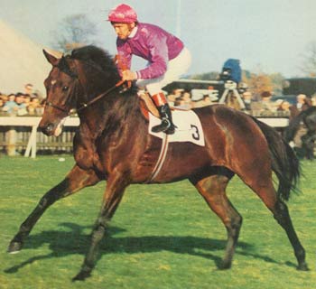 BRIGADIER GERARD