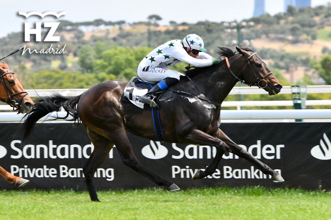 FURIOSO (V.Janacek) dejó una bonita victoria en el premio Nertal Foto: HZ FURIOSO. Foto: