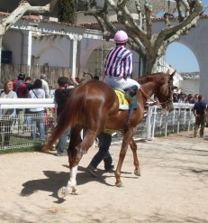 Pendenciero. Foto: Shergar