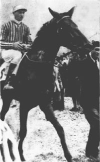 L'Astre la mejor yegua 1940-41