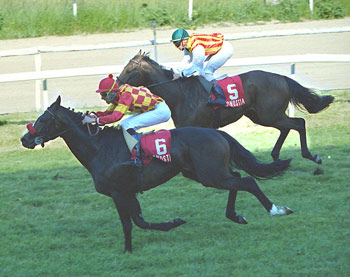 TOSCANO. Foto: EquipoZoom